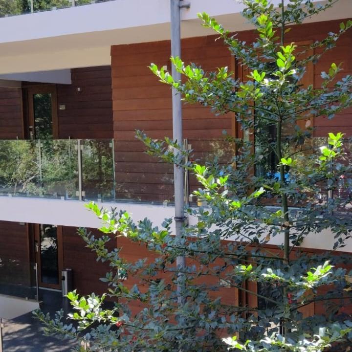 Hotel Playa Grande Suites Pucón Kültér fotó