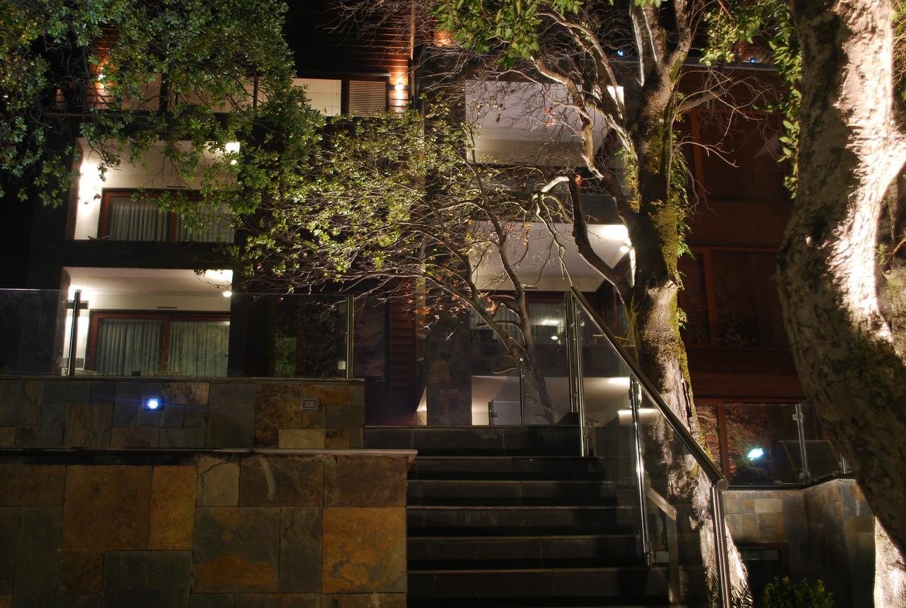 Hotel Playa Grande Suites Pucón Kültér fotó